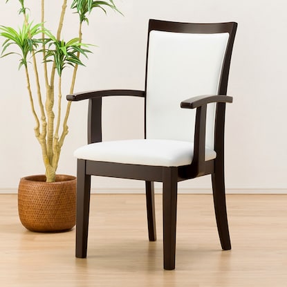 ダイニングチェア(ラグーンIPベルト 肘付き DBR)