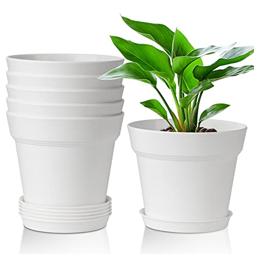 T4U 植木鉢 プラスチック プランター 6点セット 受け皿付き 排水穴付き 5号鉢 現代風 室内 観葉植物鉢 多肉植物鉢 ハーブ鉢 花鉢 白