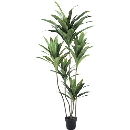 リレヤ イミテーショングリーン 観葉植物(人工植物) WD-14 〔品番:WD-14〕[2539162]「送料別途見積り,法人・事業所限定,直送」