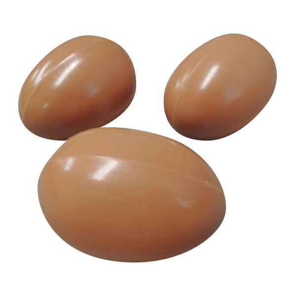 アイデア玩具 食品サンプル 玉子 (赤玉) 10個 IP-502 オススメ 送料無料