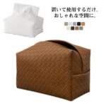 Thumbnail [1]