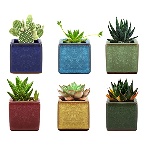植木鉢 6個入り Lewondr 多肉植物ポット プランター 陶器鉢 盆栽 窓飾り インテリア ミニ植物適用 2号サイズ 6.35*6.35*6.35cm 「注