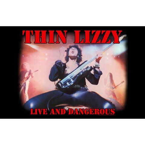 【THIN LIZZY】シン リジー「LIVE AND DANGEROUS」フラッグ