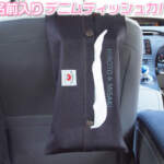 Thumbnail [1]