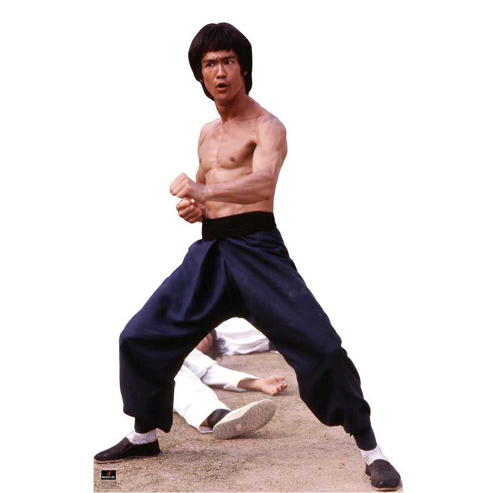 BRUCE LEE ブルースリー (追悼 50年 ) - Fight Stance / スタンドアップ 【公式 / オフィシャル】