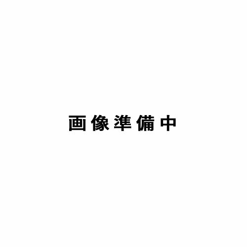 [9月エントリーでP10倍!] チェア 椅子 木製 オシャレ シンプル 家具 部屋 模様替え