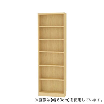 セミオーダーラック強化棚 奥行19cm(幅50×高さ180cm NA)