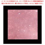 Thumbnail [1]