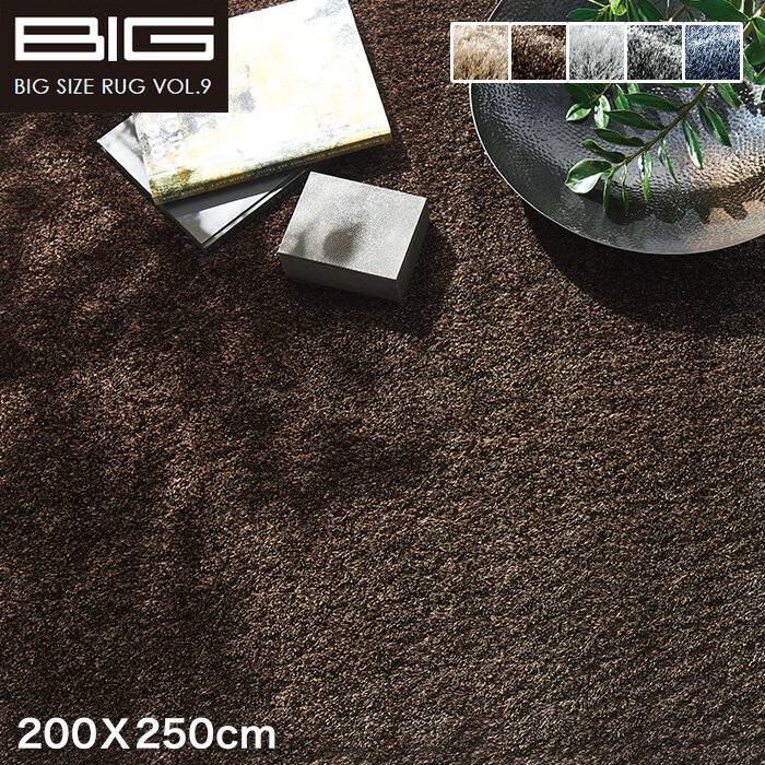 【ラグカーペット】【抗アレルゲン】スミノエ BIG ネオグラス 200X250cm*NGL2 NGL8 NGL9 NGL10 NGL38__cp13127373-3-