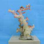 Thumbnail [1]