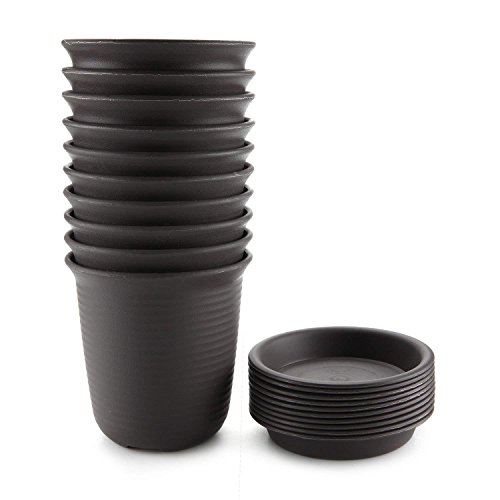 T4U 12CM プラスチック製 植木鉢 プランター 多肉植物 サボテン鉢 受け皿付き ブラウン 10点セット