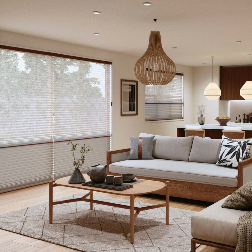 プリーツスクリーン オーダーサイズ▼もなみ シングルスタイル 電動式(マルチIR仕様) アエル▼ニチベイM5179～5181 シースルーシリーズ 透過度 シースルー 【製品幅805～1200×製品高さ2610～3000mm】