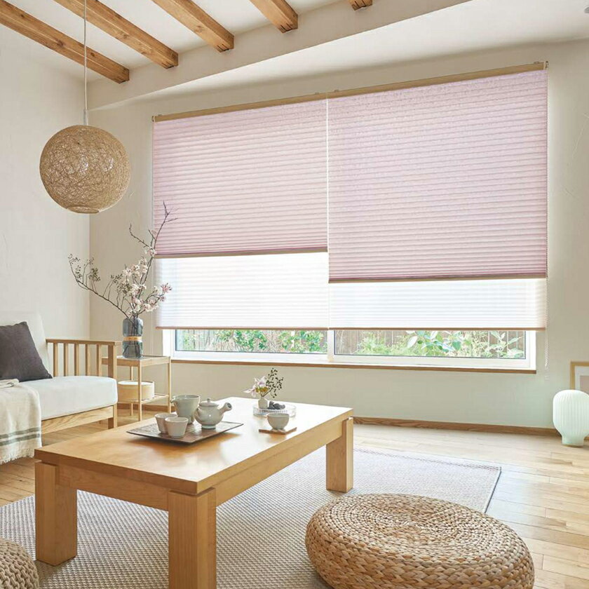 プリーツスクリーン▼ホームタコス ペルレ おすすめダブル レース:エテルノ(PS-2551〜2561)との組み合わせ リモコン操作▼タチカワブラインド ネジ止め式和 光と影 ハナツボミ PS-2006〜2007防炎【製品幅510〜800×製品高さ2610〜3000mm】