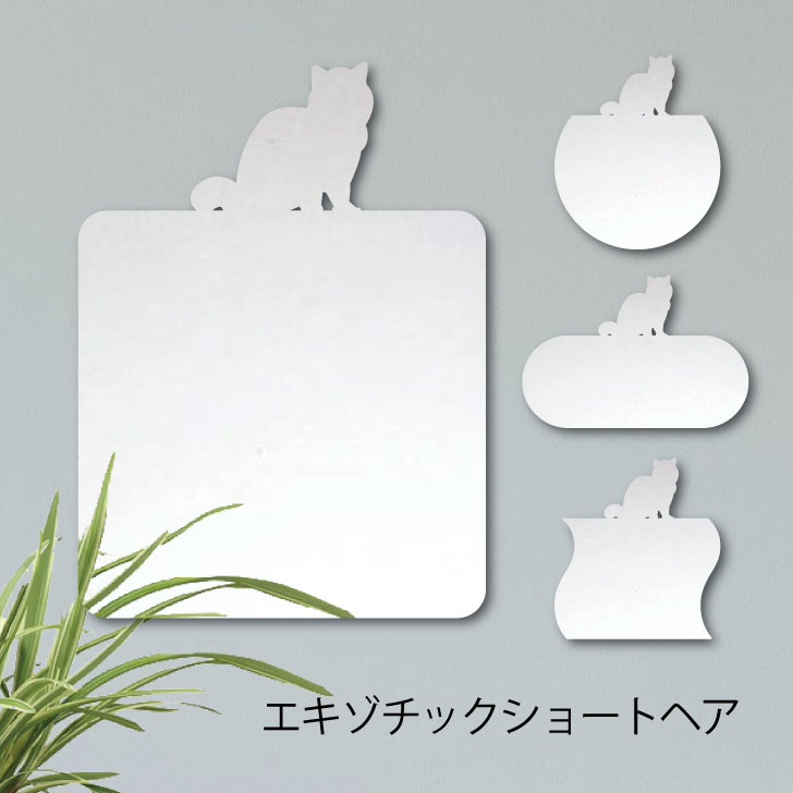 【送料無料】 鏡【 エキゾチックショートヘア 】 Lサイズ ミラー かわいい ペット 猫 グッズ プレゼント オシャレ ギフト 人気 アクリル 壁掛け 軽量 頑丈 メイクアップ 化粧台用 玄関