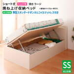 Thumbnail [1]
