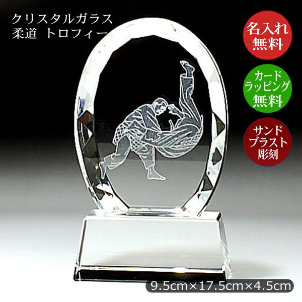 柔道トロフィー クリスタル 柔道 記念品 表彰楯 昇段 昇級 柔道大会 卒業 大会 優勝トロフィー 優勝カップ 表彰メダル 大会 少年 少女 社会人 賞品 景品 柔道部 道場 先生 コーチ 監督 主将 プレゼント 部活 引退 卒業 卒部 優勝 表彰 武道 スポーツ ガラス 811-i