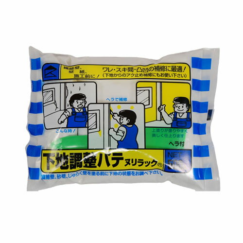 下地調整パテ 家庭化学 500G