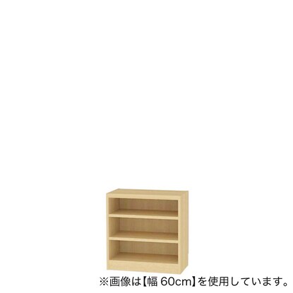 セミオーダーラック 奥行29cm(幅60×高さ60cm NA)