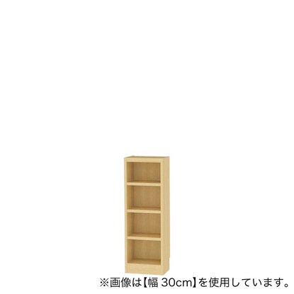 セミオーダーラック強化棚 奥行19cm(幅20×高さ90cm NA)