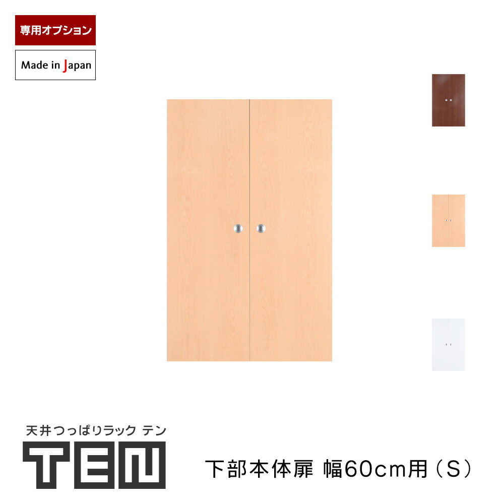 TEN専用 下部本体用扉 幅60cm Sサイズ 高さ89cm