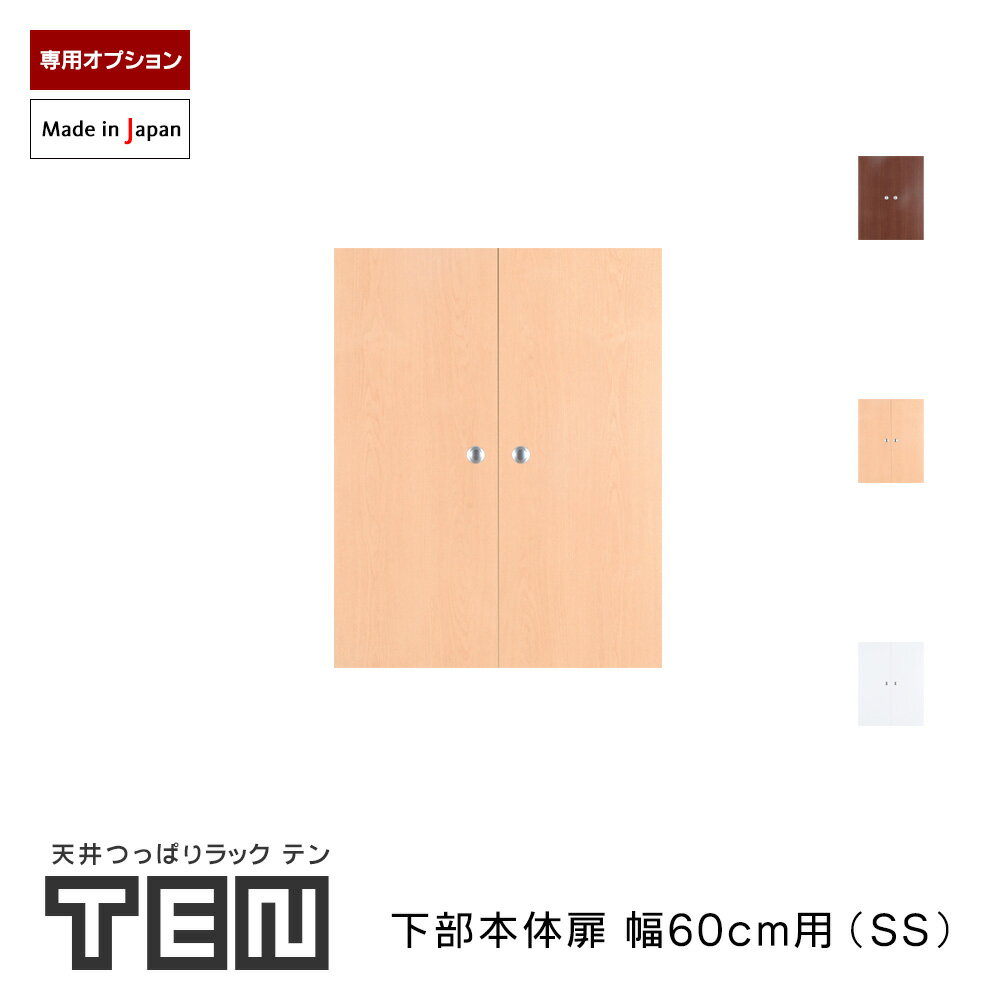 TEN専用 下部本体用扉 幅60cm SSサイズ 高さ71cm