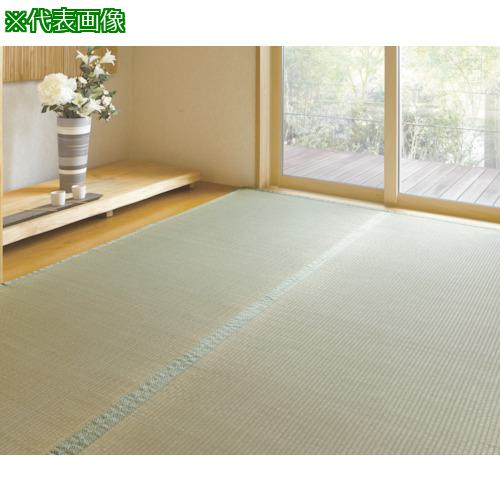 ■【在庫限り】大島屋 ウレタン貼りい草上敷き 聚楽 江戸間6帖 261×352cm〔品番:27637〕【3924226:0】[店頭受取不可]