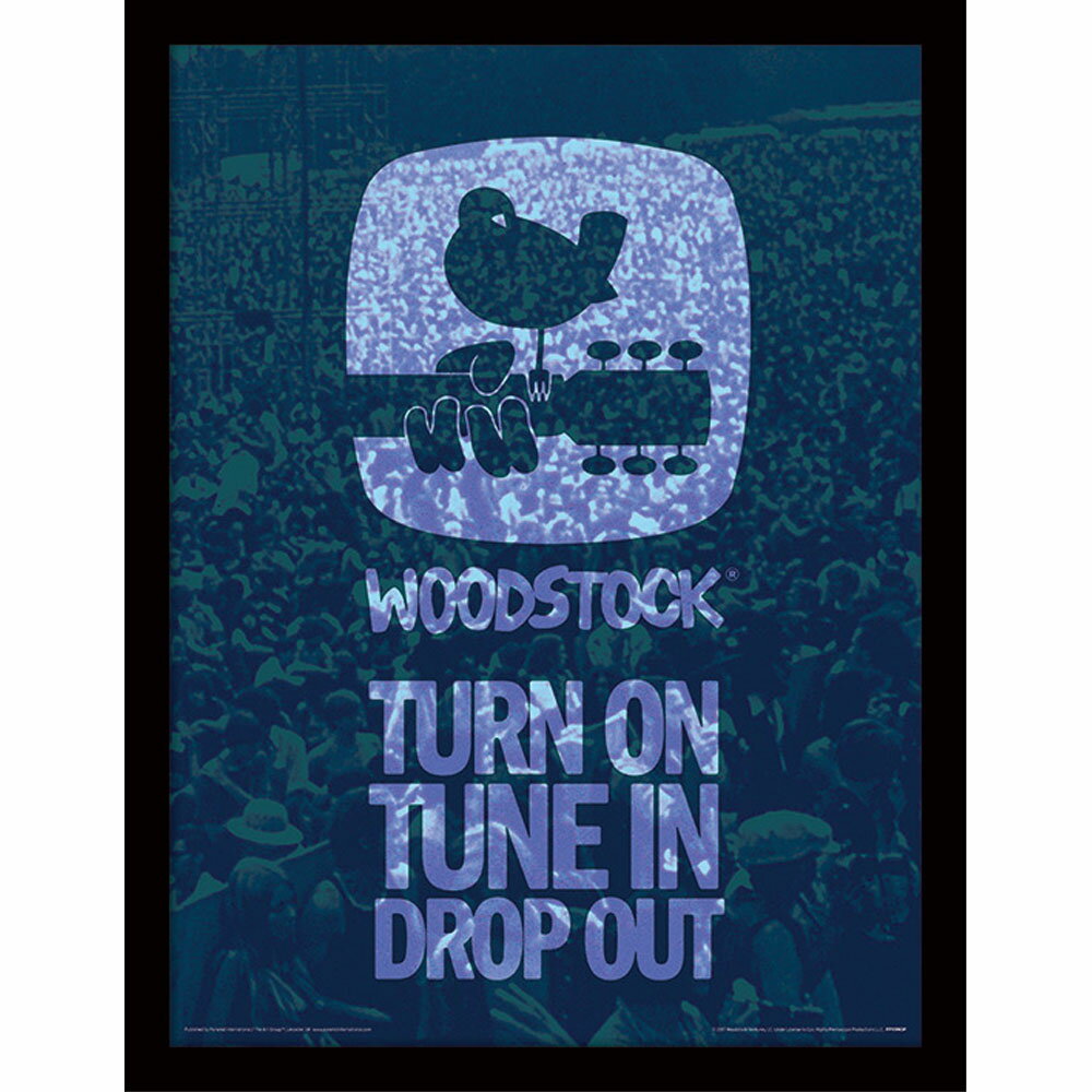 WOODSTOCK ウッドストック - Drop Out / インテリア額 【公式 / オフィシャル】