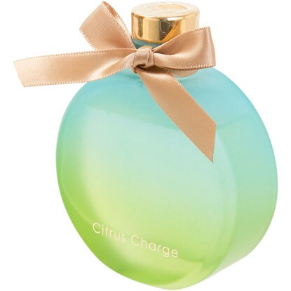 アロマディフューザー(リンクス シトラスチャージ 80ml)