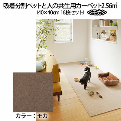 【ふるさと納税】吸着分割ペットと人の共生用カーペット2.56平方メートル(40×40cm 16枚セット)