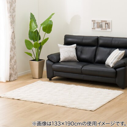 アクセントラグ(Nラカーザ 160X235)(Living in Comfort)