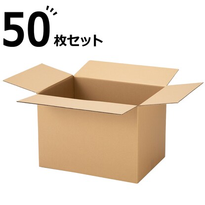 ダンボール Lサイズ 50枚セット