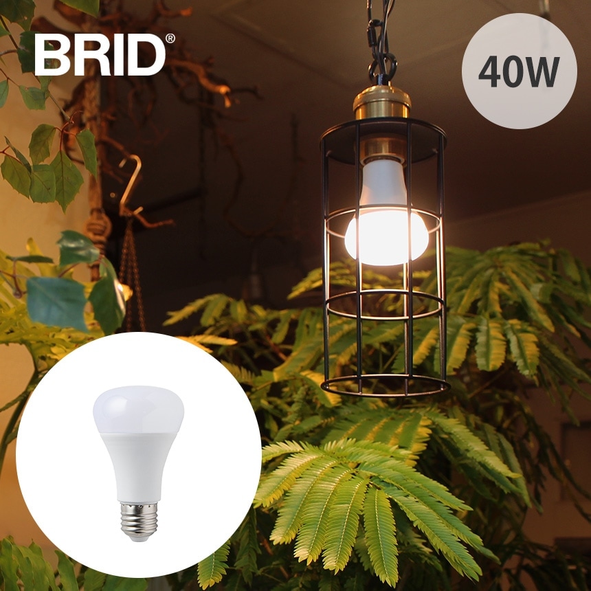 BRID ブリッド LED 植物育成ライト 40 COOL