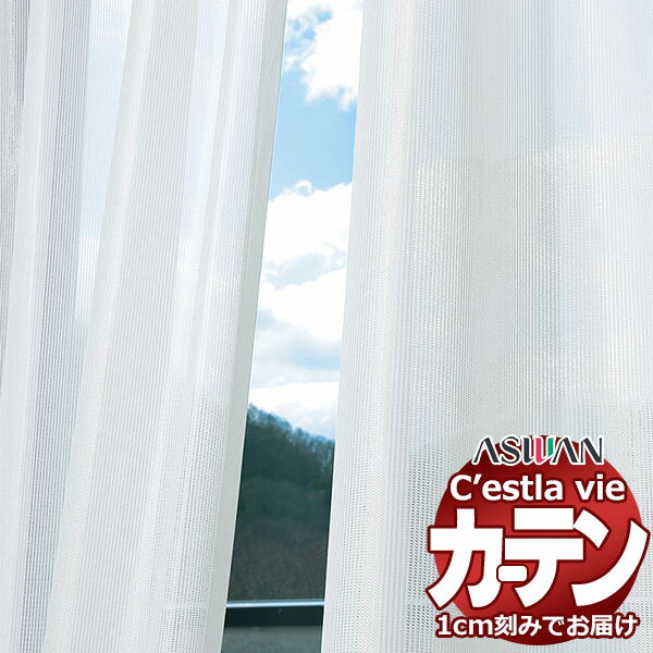 オーダー カーテン アスワン セラヴィ C2243 ハイグレード縫製 約1.5倍ヒダ 幅200×高さ280cm迄
