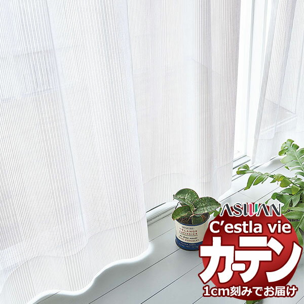 オーダー カーテン アスワン セラヴィ C2215 ハイグレード縫製 約2倍ヒダ 幅225×高さ120cm迄