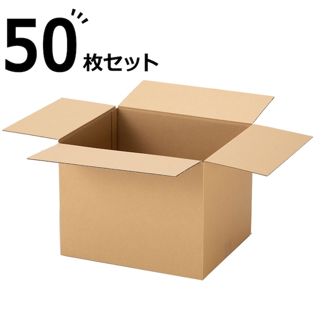 ダンボール A4/B4サイズ 50枚セット