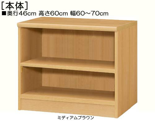 テレビ台 高さ60cm幅60〜70cm奥行46cm厚棚板(棚板厚み2.5cm)カップ本棚 廊下収納 幅オーダー1cm単位 丈夫な棚板家具 テレビ台 本棚 幅 64 cm 寸法 指定