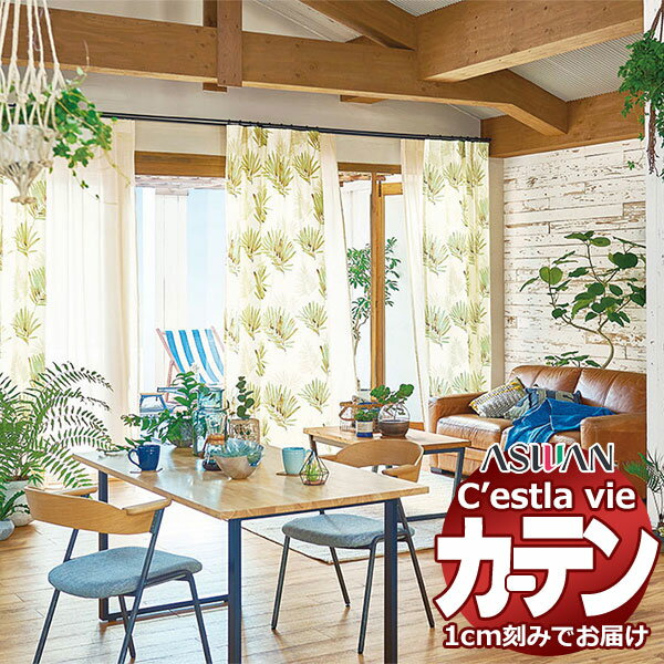 オーダー カーテン アスワン セラヴィ C2093〜2094 プレーンシェード コード式 幅50×高さ160cm迄