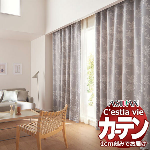 オーダー カーテン アスワン セラヴィ C2160〜2161 ハイグレード縫製 形態安定 約2倍ヒダ 幅225×高さ160cm迄