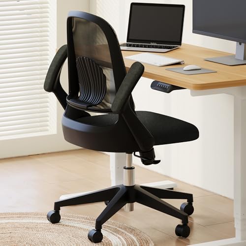 FLEXISPOT オフィスチェア デスクチェア OC5 肘跳ね上げ式 ランバー 