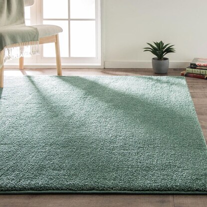 アクセントラグ( NウィンザGR 160X235)