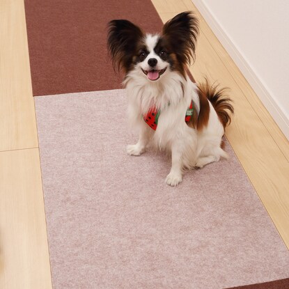吸着ぴたマットループ　60×90㎝　BE