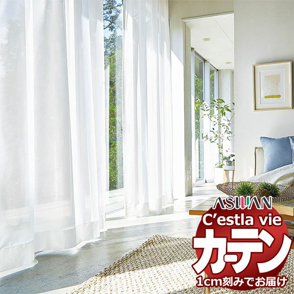 オーダー カーテン アスワン セラヴィ C2222 ハイグレード縫製 約2倍ヒダ 幅450×高さ120cm迄