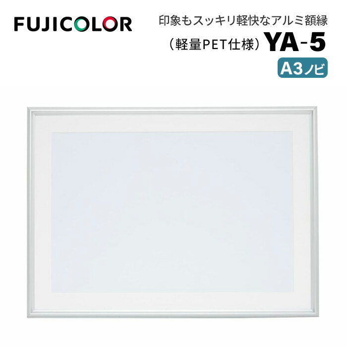 【ポイント10倍】FUJICOLOR[フジカラー]アルミ額縁 YA-5 A3ノビ シルバー (A3ノビ フレーム シルバー 壁掛け対応)