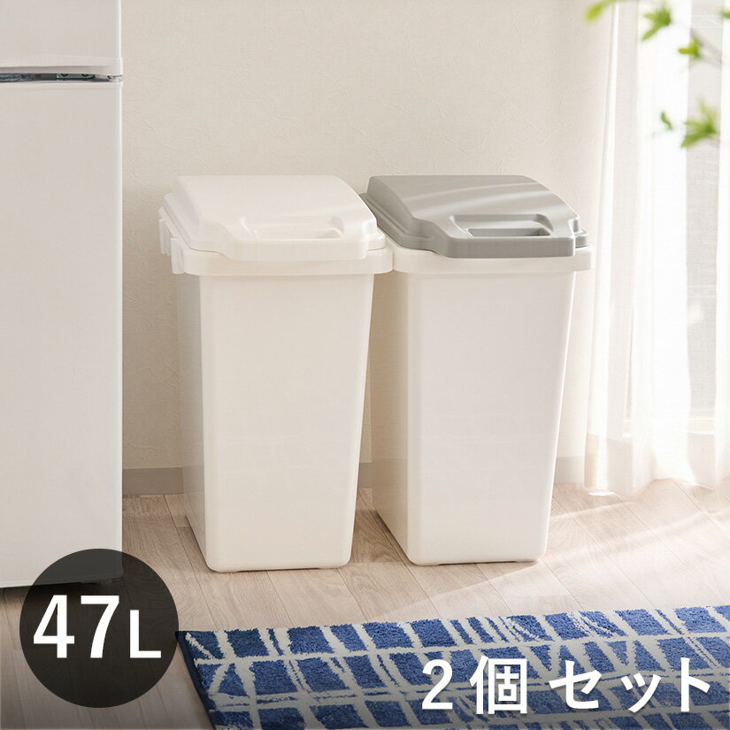 ★最大P10倍期間中★ゴミ箱 47L 2個セット 抗菌ペール ふた付き パッキン付き 防臭 ダストボックス ごみ箱 フタ付き オムツ おむつ 生ゴミ ペット ごみばこ ダストボックス コンパクト 臭わない 介護 おしゃれ dst-kup0016st2