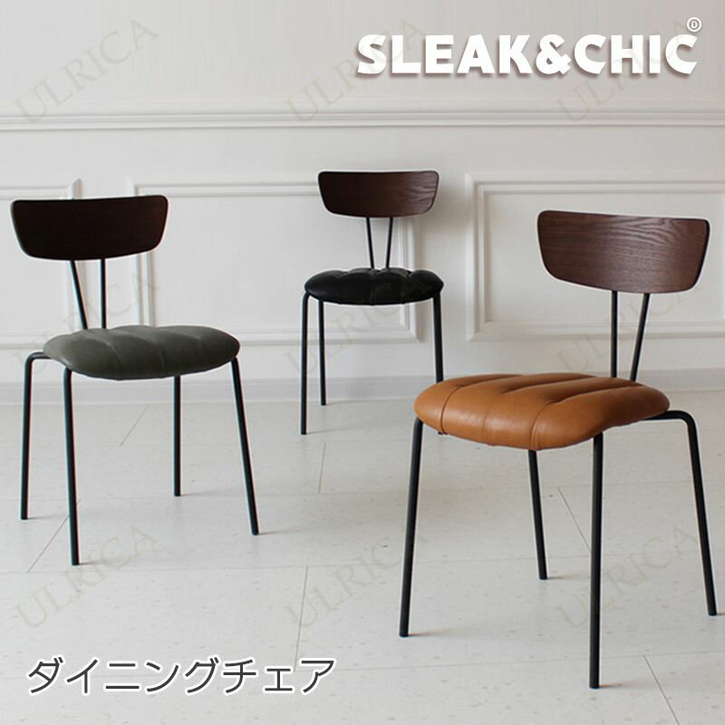 椅子 チェア ダイニングチェア いす イス 現代風 アート 芸術感 小型設計 ユニーク 背もたれ 快適 安定 おしゃれ 個性的 北欧風 高級感 贅沢感 簡約 新生活 おすすめ リビング 家具 一人暮らし 1脚 現代風 ビンテージ rbzh-al51