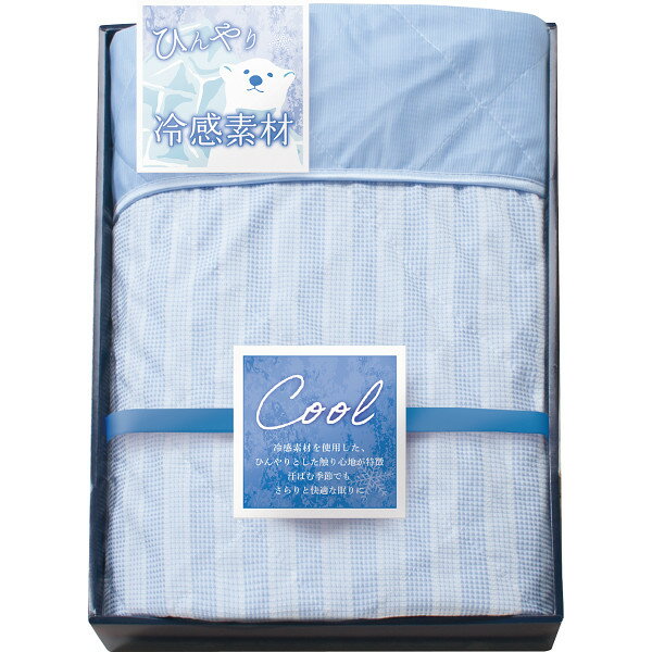 冷感キルトケット RK-608 香典返し 満中陰志 御供 粗供養 詰め合わせ ギフト プレゼント 割引 景品 品物 新築祝い 結婚内祝い 出産内祝い ご挨拶 引っ越し 引越し 内祝い 写真入り メッセージカード のし 冬ギフト