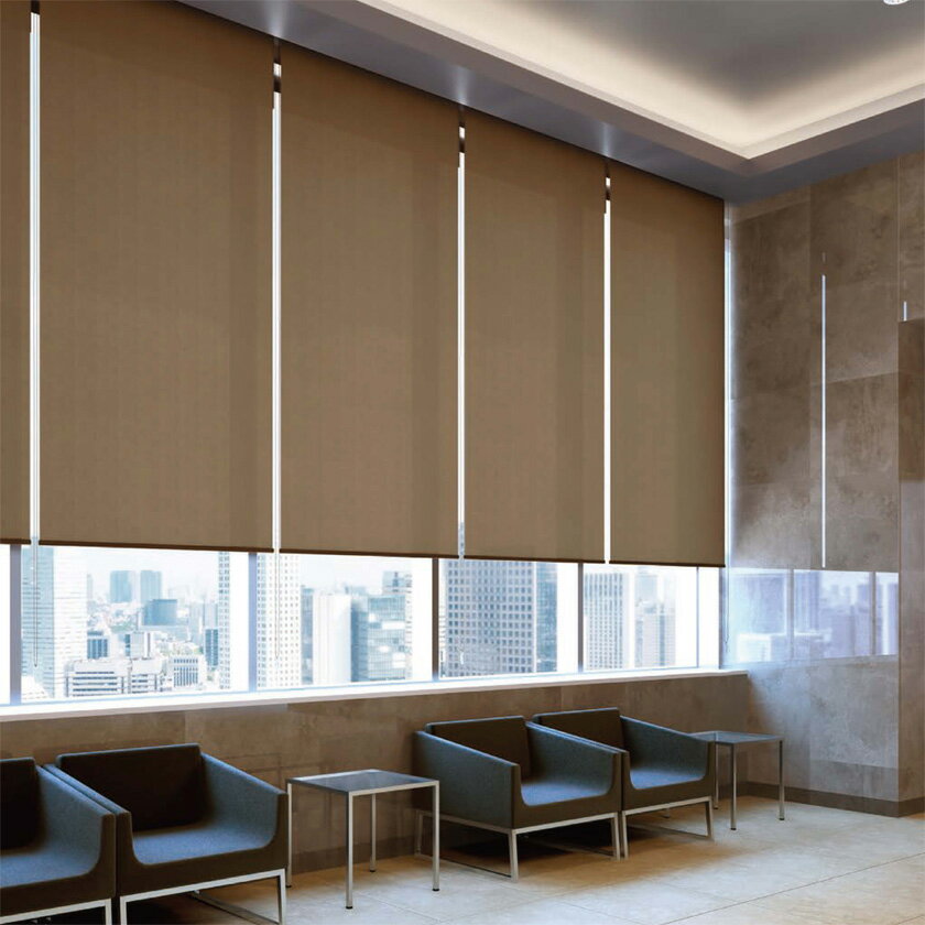 ロールスクリーン タチカワブラインド▼ホームタコス ラルク傾斜窓