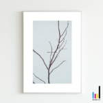 Thumbnail [1]