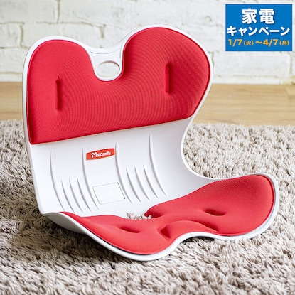 姿勢サポートチェア M(女性向き)RE