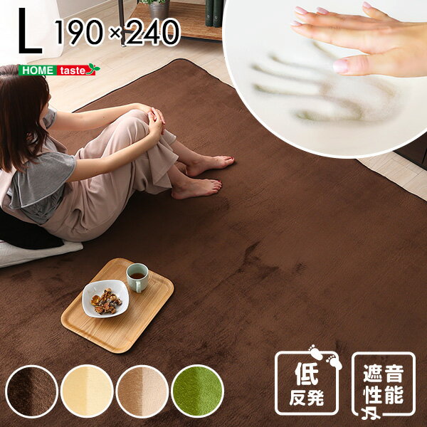 高密度マイクロファイバー・低反発ラグマットLサイズ(190×240cm)オールシーズン対応|リウル